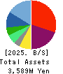 Tameny Inc. Balance Sheet 2025年Mar期 Tameny Inc. Balance Sheet 2025年3月期