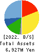 VIS co.ltd. Balance Sheet 2022年Mar期 VIS co.ltd. Balance Sheet 2022年3月期