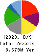 CVS Bay Area Inc. Balance Sheet 2023年2月期