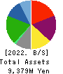 VIA Holdings,Inc. Balance Sheet 2022年3月期