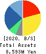 Business Engineering Corporation Balance Sheet 2020年3月期