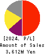 Information Planning CO.,LTD. Profit and Loss Account 2024年9月期
