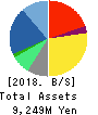 PCI Holdings,INC. Balance Sheet 2018年9月期