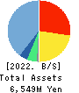 NexTone Inc. Balance Sheet 2022年Mar期 NexTone Inc. Balance Sheet 2022年3月期