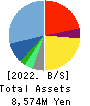ERI HOLDINGS CO.,LTD. Balance Sheet 2022年May期 ERI HOLDINGS CO.,LTD. Balance Sheet 2022年5月期