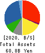 HASHIMOTO SOGYO HOLDINGS CO.,LTD. Balance Sheet 2020年Mar期 HASHIMOTO SOGYO HOLDINGS CO.,LTD. Balance Sheet 2020年3月期