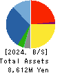 SANKI SERVICE CORPORATION Balance Sheet 2024年5月期