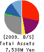 C&I Holdings Co., Ltd. Balance Sheet 2009年12月期