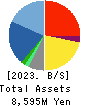 SUNNY SIDE UP GROUP Inc. Balance Sheet 2023年Jun期 SUNNY SIDE UP GROUP Inc. Balance Sheet 2023年6月期
