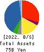 CANOX CORPORATION Balance Sheet 2022年3月期