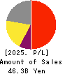 CHANGE Holdings,Inc. Profit and Loss Account 2025年3月期