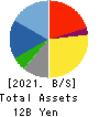 HARIMA B.STEM CORPORATION Balance Sheet 2021年Mar期 HARIMA B.STEM CORPORATION Balance Sheet 2021年3月期