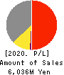 Lib Work Co.,Ltd. Profit and Loss Account 2020年6月期