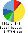 WATTMANN CO.,LTD. Balance Sheet 2021年Mar期 WATTMANN CO.,LTD. Balance Sheet 2021年3月期