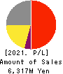 SE Holdings and Incubations Co.,Ltd. Profit and Loss Account 2021年3月期