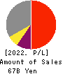 RORZE CORPORATION Profit and Loss Account 2022年2月期