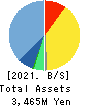 Double Standard Inc. Balance Sheet 2021年Mar期 Double Standard Inc. Balance Sheet 2021年3月期