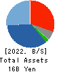 ELAN Corporation Balance Sheet 2022年12月期
