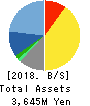 OPTiM CORPORATION Balance Sheet 2018年3月期