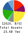 SAINT-CARE HOLDING CORPORATION Balance Sheet 2020年3月期