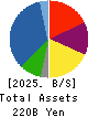 IDOM Inc. Balance Sheet 2025年Feb期 IDOM Inc. Balance Sheet 2025年2月期