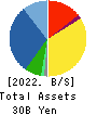 SPK CORPORATION Balance Sheet 2022年Mar期 SPK CORPORATION Balance Sheet 2022年3月期