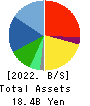 IPS,Inc. Balance Sheet 2022年3月期