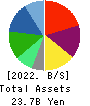 Pharmarise Holdings Corporation Balance Sheet 2022年5月期