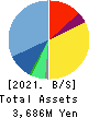 ExaWizards Inc. Balance Sheet 2021年3月期