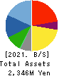 internet infinity INC. Balance Sheet 2021年Mar期 internet infinity INC. Balance Sheet 2021年3月期