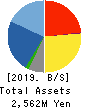 gooddays holdings,Inc. Balance Sheet 2019年3月期
