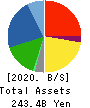 KAMEI CORPORATION Balance Sheet 2020年Mar期 KAMEI CORPORATION Balance Sheet 2020年3月期