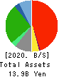 VIA Holdings,Inc. Balance Sheet 2020年3月期
