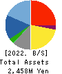 D.I.System Co., Ltd. Balance Sheet 2022年9月期