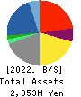 Virtualex Holdings,Inc. Balance Sheet 2022年3月期