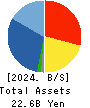 DVx Inc. Balance Sheet 2024年Mar期 DVx Inc. Balance Sheet 2024年3月期