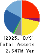 VALUE GOLF Inc. Balance Sheet 2025年Jan期 VALUE GOLF Inc. Balance Sheet 2025年1月期
