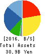 AINAVO HOLDINGS Co.,Ltd. Balance Sheet 2016年Sep期 AINAVO HOLDINGS Co.,Ltd. Balance Sheet 2016年9月期