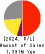 bBreak Systems Company, Limited Profit and Loss Account 2024年Jun期 bBreak Systems Company, Limited Profit and Loss Account 2024年6月期