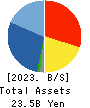 DVx Inc. Balance Sheet 2023年Mar期 DVx Inc. Balance Sheet 2023年3月期