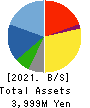 MURAKI CORPORATION Balance Sheet 2021年Mar期 MURAKI CORPORATION Balance Sheet 2021年3月期