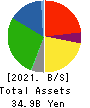 LOGINET JAPAN CO.,LTD. Balance Sheet 2021年Mar期 LOGINET JAPAN CO.,LTD. Balance Sheet 2021年3月期