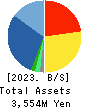 Basis Corporation Balance Sheet 2023年6月期