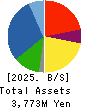 TOKYO KOKI CO. LTD. Balance Sheet 2025年2月期