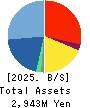 CORREC HOLDINGS Inc. Balance Sheet 2025年Feb期 CORREC HOLDINGS Inc. Balance Sheet 2025年2月期