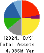 SAYLOR ADVERTISING INC. Balance Sheet 2024年Mar期 SAYLOR ADVERTISING INC. Balance Sheet 2024年3月期