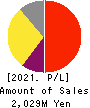 i Cubed Systems, Inc. Profit and Loss Account 2021年Jun期 i Cubed Systems, Inc. Profit and Loss Account 2021年6月期