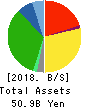 YAMAZAWA CO.,LTD. Balance Sheet 2018年Feb期 YAMAZAWA CO.,LTD. Balance Sheet 2018年2月期