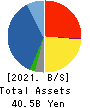DAISUE CONSTRUCTION CO.,LTD. Balance Sheet 2021年3月期