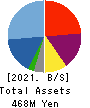 EYEZ,INC. Balance Sheet 2021年12月期